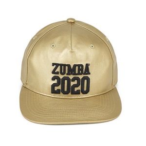 Zumba 2020 Metallic Snapback Hat